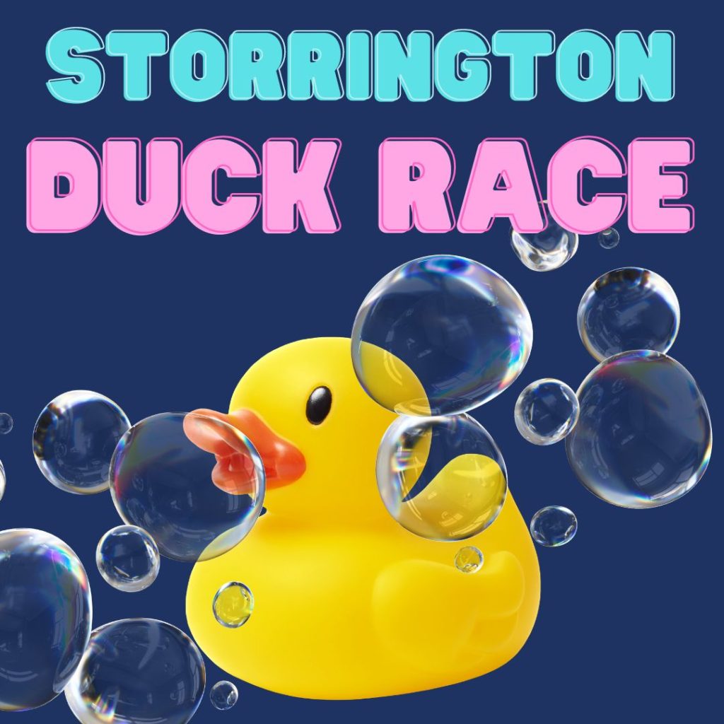 rubber duck and bubbles advertising storrington duck race 2024